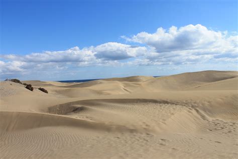 gambar pemandangan gurun bukit pasir bahan dunes padang rumput