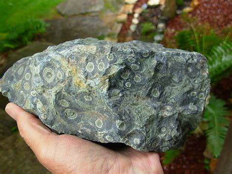 Kambaba Jasper Rough from Madagascar - Spirit Rock Shop