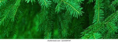 21338 Christmas Header Stock Photos Images And Photography Shutterstock