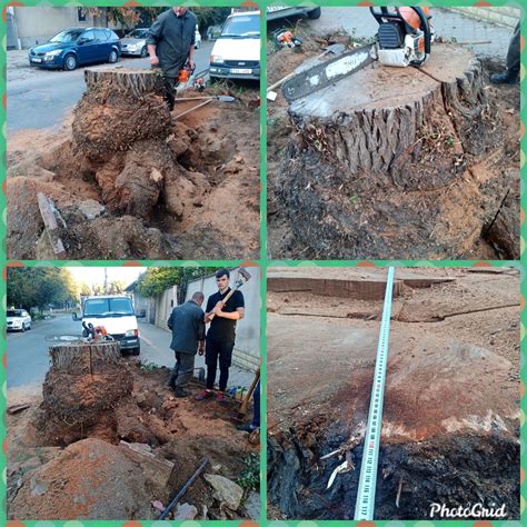 Куплю штиль