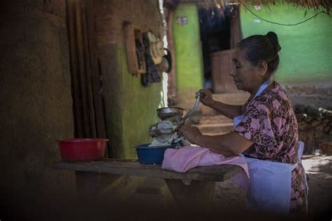 FAO y Cepal proponen bono contra el hambre en América Latina IPS Agencia de Noticias