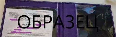 Обложка для справки мсэ (инвалидности) новая | Festima.Ru - Мониторинг ...