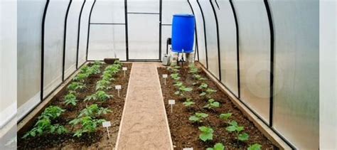 Капельный полив для теплицы купить в Перми | Товары для дома и дачи | Авито