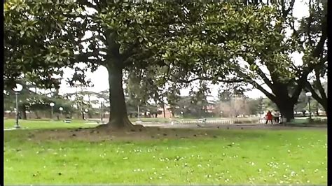 Mettimi La Testa Nel Water Porco Full Movie Italian Amateur Porn Xhamster