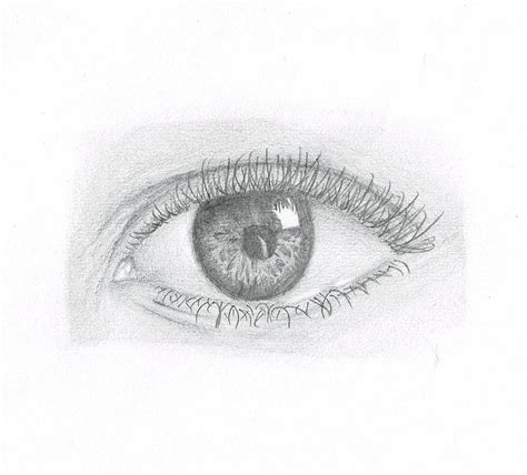 Realistic Eye by Malek on Dribbble