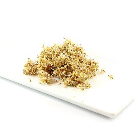 Organic Quinoa Australia Bulk Quinoa The Source Bulk Foods Shop