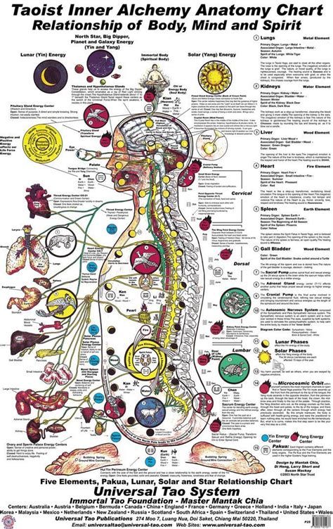 Image Result For Taoist Internal Alchemy Qigong Taoist Tai Chi