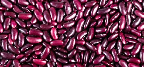 Клубника: пищевая ценность и польза для здоровья