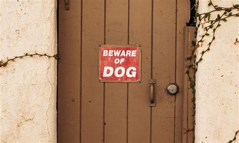 Beware Of Dog Dream Legal Team