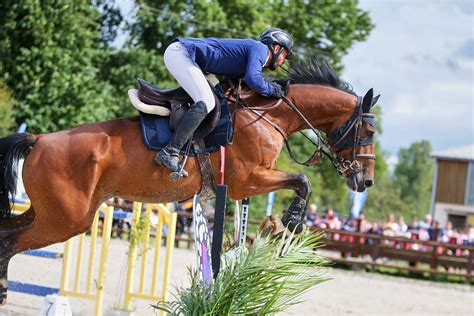 25 26 27 Aout 2023 Parc équestre des Sablons Val de Reuil CSO Amateur Pro Préparatoire