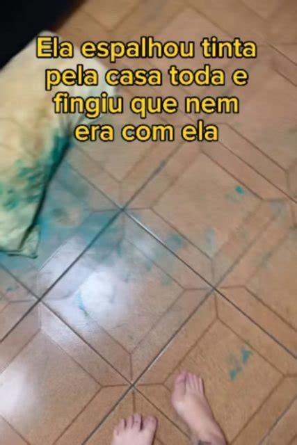 Tutora Viraliza Ao Flagrar Cadela Suja De Tinta O Pr Prio Grinch