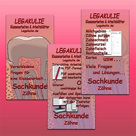 Sachkunde 2klasse