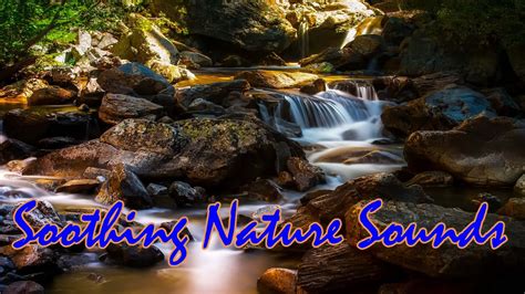 Soothing Stream Sounds L Relaxing Nature Sound For Relaxation Sleep