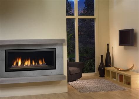 Regency Gas Fireplace Inserts Reviews Home Design Ideas