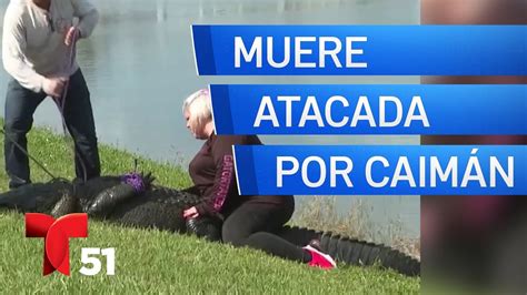 Mujer Muere Tras Ser Atacada Por Un Caim N En Florida Youtube