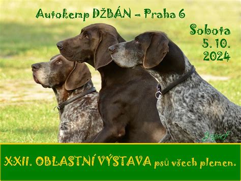 Xxii Oblastn V Stava Ps V Ech Plemen Jen Oms Praha A