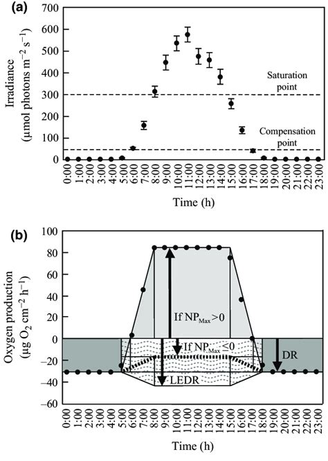 A Diel Curve Of Irradiance In The Outdoor Experimental Tanks During