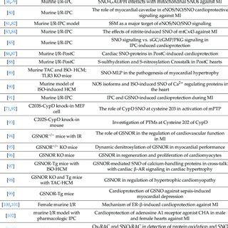 Keap1 structure. (A) The organisation of Keap1 domains. NTR -N-terminal ...