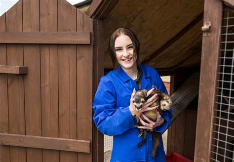 Small Animal Centre Coleg Gwent