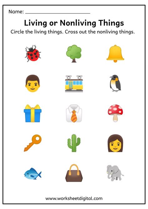 Living And Nonliving Things Living And Nonliving Living Things