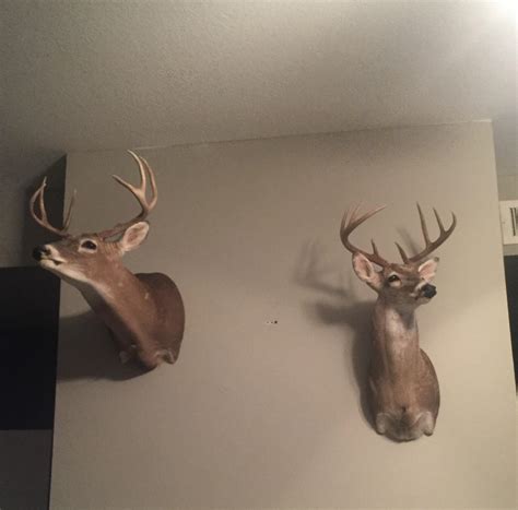 ideas for stag night 9