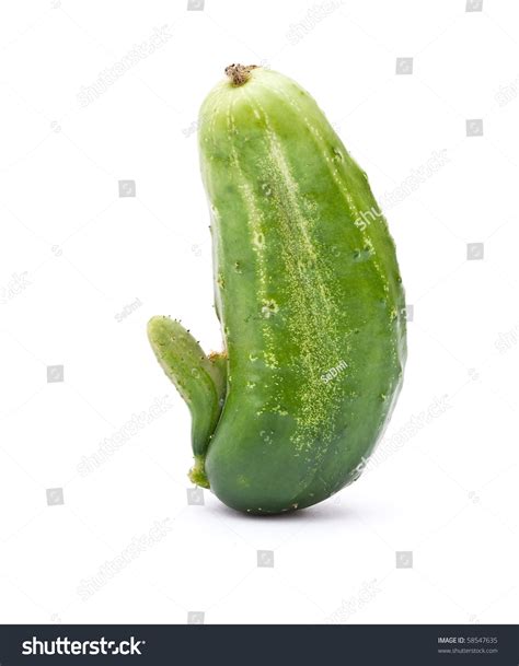 Sex Cucumber Stock Photo Shutterstock