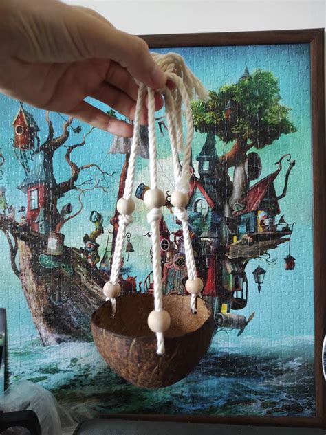 Coconut Swing : 8 Steps (with Pictures) - Instructables