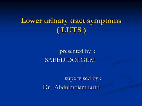 Ppt Lower Urinary Tract Symptoms Luts Powerpoint Presentation