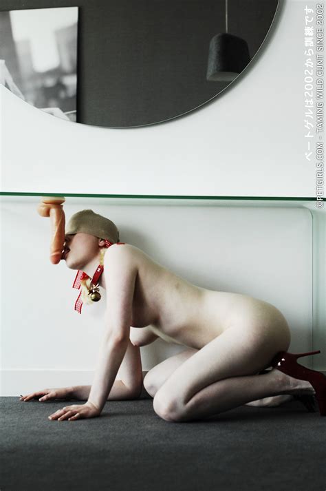 Collared Fun Porn Pic