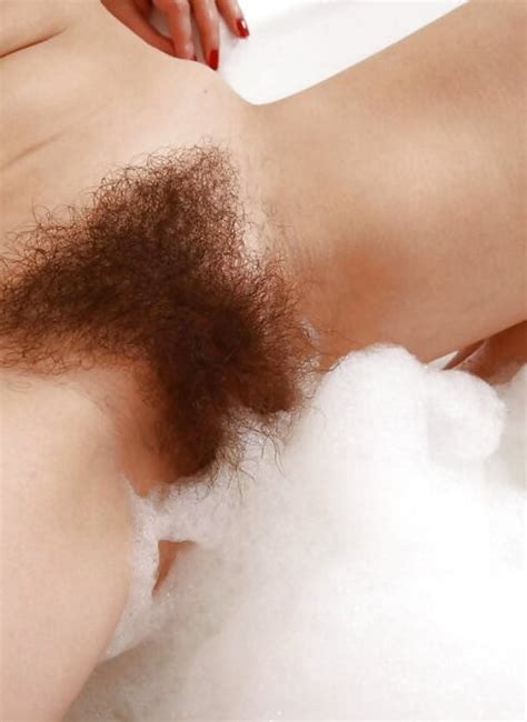 Behaarte Muschis Hairy Pussy Hairy Porn Pic