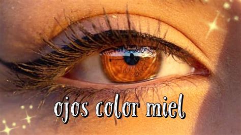 Venta ambulante llegada Reembolso ojos color miel Generalizar Turbulencia Oxidado