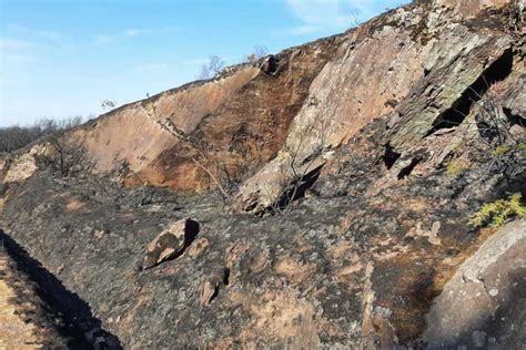 Brocéliande Lincendie Est Contenu Les Habitants De Campénéac