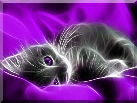 Free Cat Wallpaper and Screensavers - WallpaperSafari