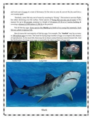 Some interesting wildlife records | PDF