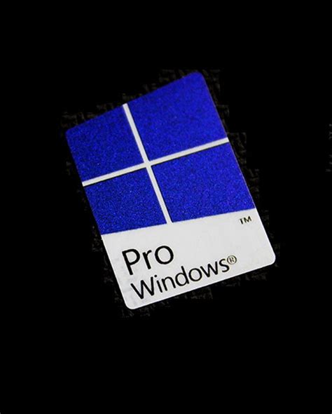 Detail Windows 10 Pro Logo Koleksi Nomer 53