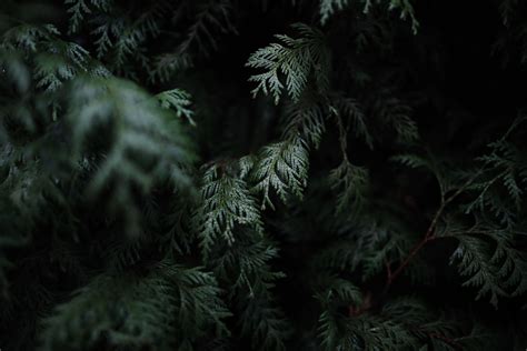 Dark Moody Wallpapers Wallpaper Cave
