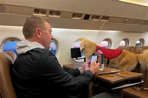 The life of Ben: Meet Kirk Herbstreit’s jet-setting golden retriever