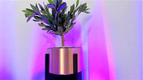 Watch 0268 Fun Good Babe Porn SpankBang