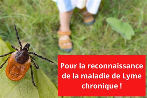 Pétition Pour La Reconnaissance De La Maladie De Lyme Chronique