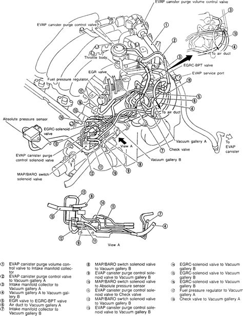 2001 Nissan Maxima Vacuum Diagram