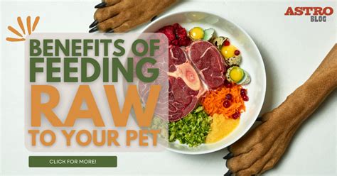 Benefits of Feeding Raw to your Pet - Astro Loyalty