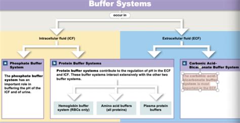 Exam 4 Flashcards | Quizlet 