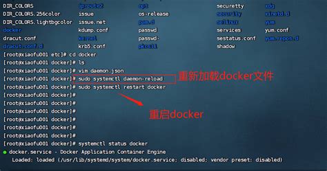 Dockerday02：lass Pass和saas Docker启动设置镜像 镜像 容器相关命令 小福福 博客园