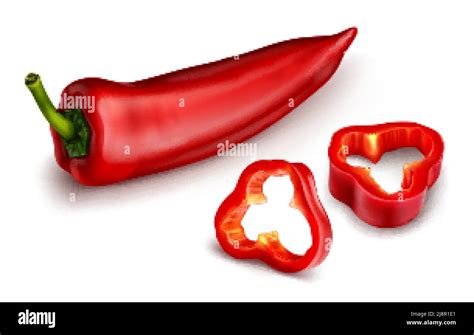 Red Chili Pepper Hot Spicy Plant Pod Paprika Cayenne With Green Stem Vector Realistic