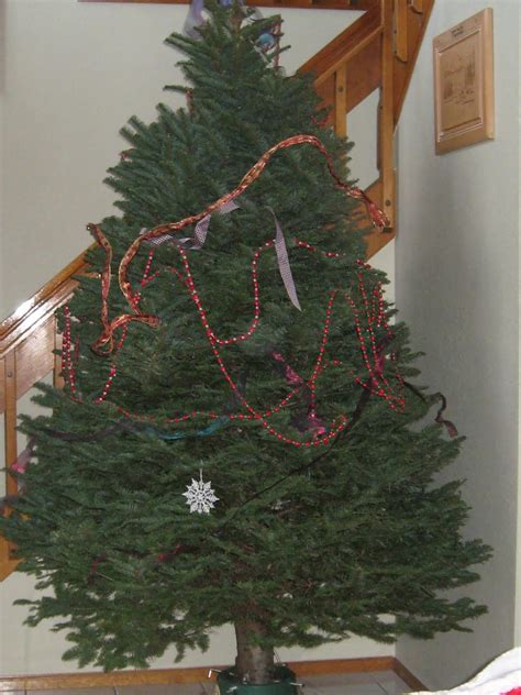 Vixen S Daily Reads Naked To Dressed Christmas Tree That Is