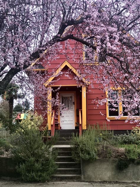 Lovely little home in Ballard. : r/Seattle