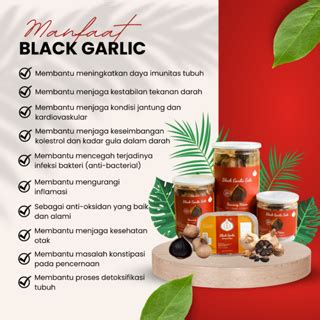 Jual HSD Black Garlic Solo Bawang Hitam Tunggal Shopee Indonesia