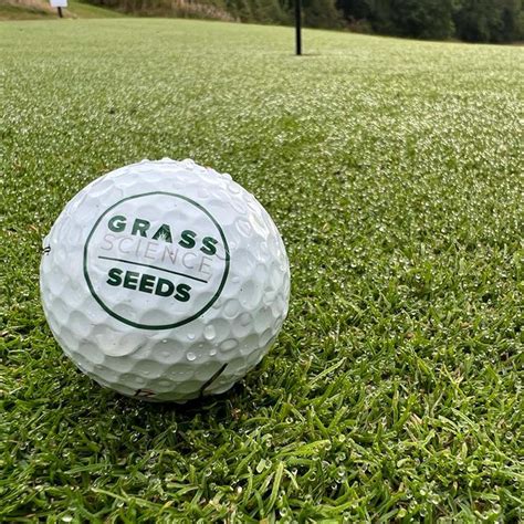 Gss Prime Creeping Bent Greens Grass Science Seeds