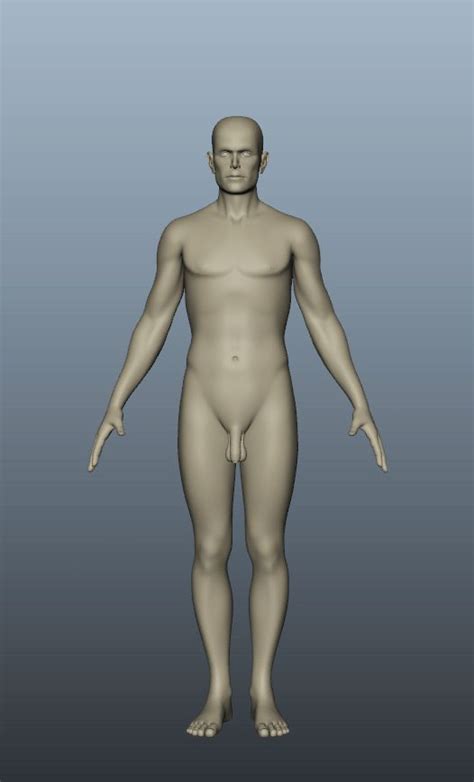 Male Body Nude 3D Model 29 Ma Fbx 3ds Free3D