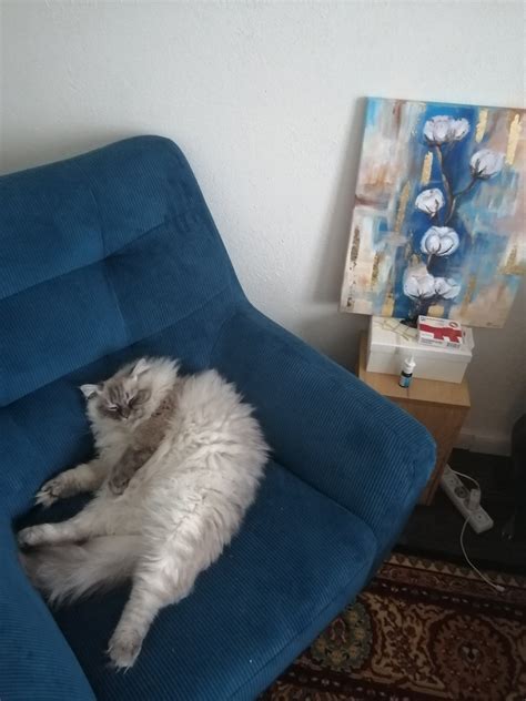 Кресло Витио Velvet Milk – купить в Москве по цене 20 990 рублей в ...